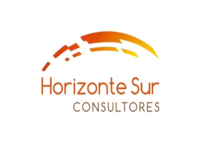 Horizonte Sur Consultores