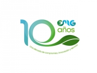 EMG SERVICIOS INTEGRALES LTDA