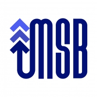 MSB-IT