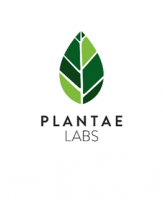 Planta Productiva