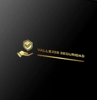 Vallejos Seguridad