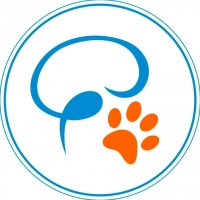 Instituto Neurológico Veterinario