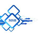 MSB-IT